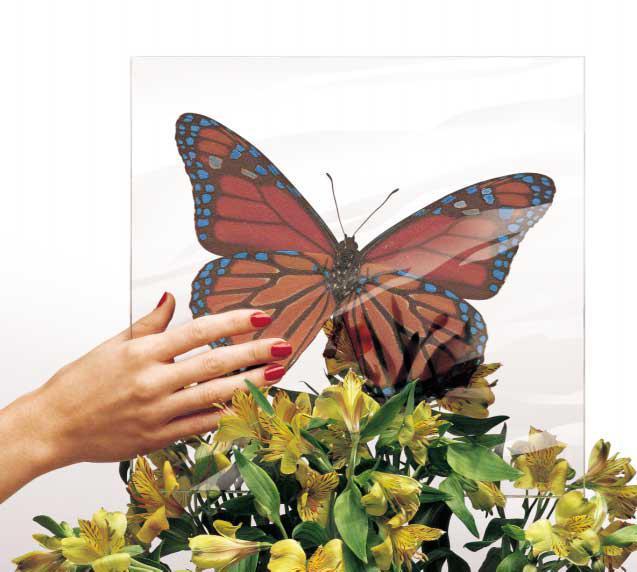 Mariposa impresa en vidrio laminado LAMICID Expressions
